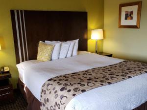 Queen Room with Roll-In Shower - Disability Access room in SureStay Hotel by Best Western Vallejo Napa Valley