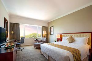 Phòng Loại Sang Giường Lớn (Deluxe King Room)
