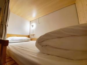 1 người trong phòng tập thể 10 giường – Nam & Nữ (1 Person in 10-Bed Dormitory - Mixed)