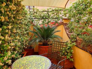 Double Room with Terrace room in Hotel Annalena