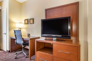 King Room - Disability Access/Non-Smoking room in Comfort Suites Houston Galleria