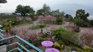 Phòng 4 người Nhìn ra cảnh Núi non (Quadruple Room with Mountain View)