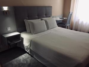 Single Room room in Hotel Excelsior