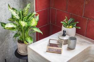 Deluxe Double Room room in Moon And Stars Athens