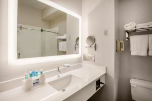 Holiday Inn Express Hotel & Suites Dallas - Grand Prairie I-20, an IHG Hotel - image 2