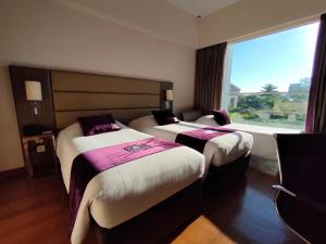 Triplet Premier Large Room