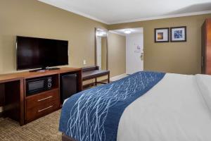 Deluxe Room, 1 King Bed, Accessible Whirlpool Tub, Non Smoking room in Comfort Inn Sunnyvale – Silicon Valley