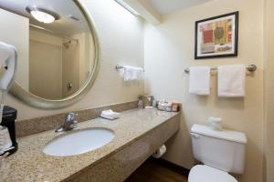 Deluxe King Room - Non-Smoking room in Red Roof Inn Houston Westchase