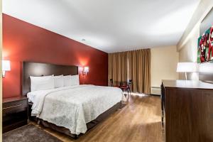 Suite King Room - Smoke Free room in Red Roof Inn PLUS+ & Suites Houston – IAH Airport SW