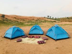 Tent room in The Dunes Camping & Safari RAK