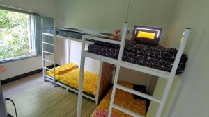 Giường trong Phòng ngủ tập thể 4 người (Bed in 4-Bed Dormitory Room)