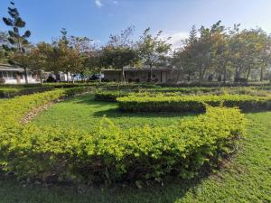Phòng Giường Đôi Nhìn Ra Vườn (Double Room with Garden View)