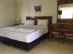 Standard Double Room room in Jumbotel Hotel