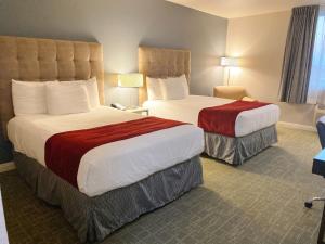Standard Double Room room in Redac Gateway Hotel Torrance