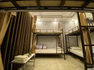 Giường Tầng Trong Phòng Ngủ Tập Thể Cho Nam Và Nữ (Bunk Bed in Mixed Dormitory Room)