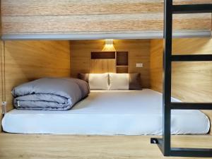 Giường Tầng Trong Phòng Ngủ Tập Thể Cho Nam Và Nữ (Bunk Bed in Mixed Dormitory Room)