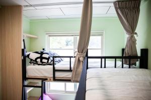 Giường trong phòng ngủ tập thể nam có 4 giường (Bed in 4-Bed Male Dormitory Room)
