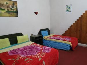 Double Room with Bathroom room in African House Hostel