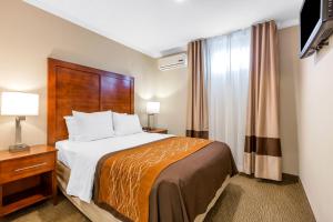 Family Room, 1 King Bed, 1 Queen Bed and Sofa Bed, Non Smoking room in Comfort Inn Santa Monica - West Los Angeles
