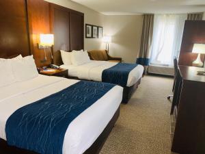 Queen Suite with Two Queen Beds - Non-Smoking room in Comfort Inn & Suites Conway