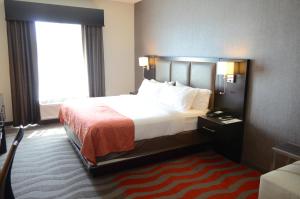 King Room with Roll-In Shower - Disability Access room in Holiday Inn Houston West - Westway Park an IHG Hotel