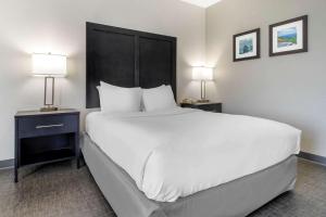 Queen Room with Accessible Tub - Accessible/Non-Smoking room in Comfort Inn & Suites Greer - Greenville