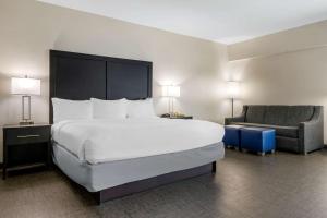 King Suite with Sofa Bed - Non-Smoking room in Comfort Inn & Suites Greer - Greenville