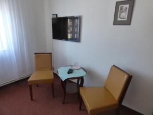 Double Room room in Hotel Svornost