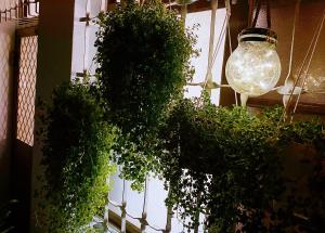 Nhà Phố 2 Phòng Ngủ (Two-Bedroom Townhouse)