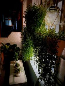 Nhà Phố 2 Phòng Ngủ (Two-Bedroom Townhouse)