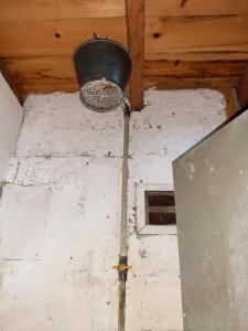 Giường Trong Phòng Nghỉ Tập Thể 8 Giường Cho Cả Nam Và Nữ (Bed in 8-Bed Mixed Dormitory Room)