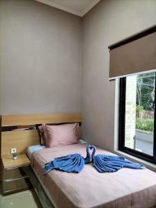 Phòng giường đơn (Single Room)
