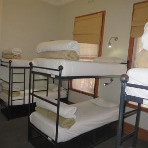 Bed in 6-Bed Female Dormitory Room room in Ashanti Lodge Backpackers