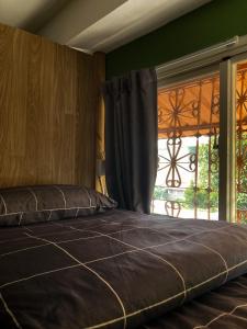 Giường Trong Phòng Ngủ Tập Thể Cho Cả Nam Và Nữ 6 Giường (Bed in 6-Bed Mixed Dormitory Room)