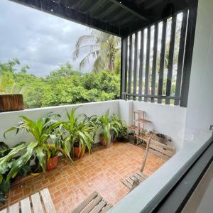 Phòng Giường Đôi Có Ban Công (Double Room with Balcony)