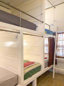 Giường trong Phòng ngủ tập thể cả Nam và Nữ 4 Người (Bed in 4-Bed Mixed Dormitory Room)