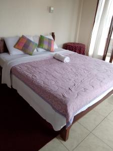Phòng Giường Đôi Nhìn Ra Núi (Double Room with Mountain View)