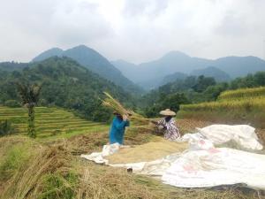 Nhà trệt (Bungalow)