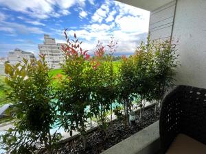 Phòng Tiêu Chuẩn Giường Đôi (Standard Double Room)