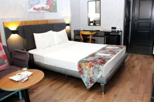 Deluxe Double or Twin Room room in Istanbul Fair Hotel