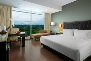Phòng Executive (Executive Room)