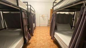 Giường Trong Phòng Ngủ Tập Thể Cho Cả Nam Và Nữ 6 Giường (Bed in 6-Bed Mixed Dormitory Room)
