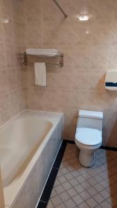 Phòng tiết kiệm giường đôi - Không hút thuốc (Economy Double Room - Non-Smoking)