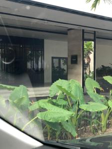 Căn Hộ 1 Phòng Ngủ (One-Bedroom Apartment)