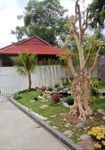 Phòng 4 Người Tiện nghi (Comfort Quadruple Room)