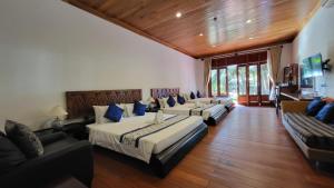 Phòng Gia đình Nhìn ra Vườn (Family Room with Garden View)