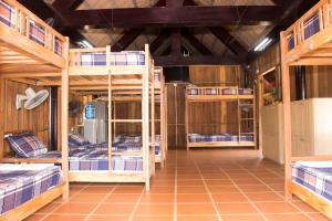 Giường Tầng Trong Phòng Ngủ Tập Thể Cho Nam Và Nữ (Bunk Bed in Mixed Dormitory Room)