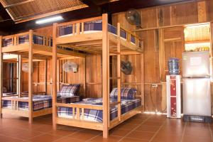 Giường Tầng Trong Phòng Ngủ Tập Thể Cho Nam Và Nữ (Bunk Bed in Mixed Dormitory Room)