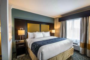 Comfort Suites Fort Lauderdale Airport South & Cruise Port in Miami