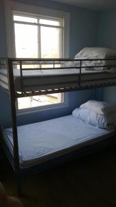 Bed in 6-Bed Mixed Dormitory Room room in Queen Elizabeth Hostel